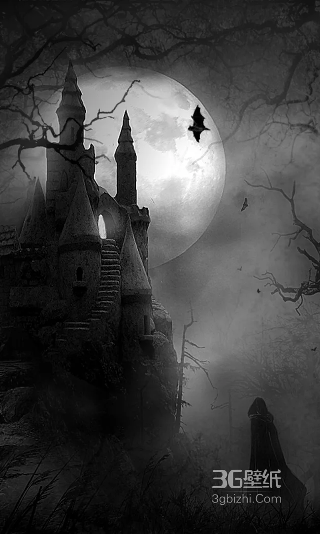 黑暗月色下的城堡1