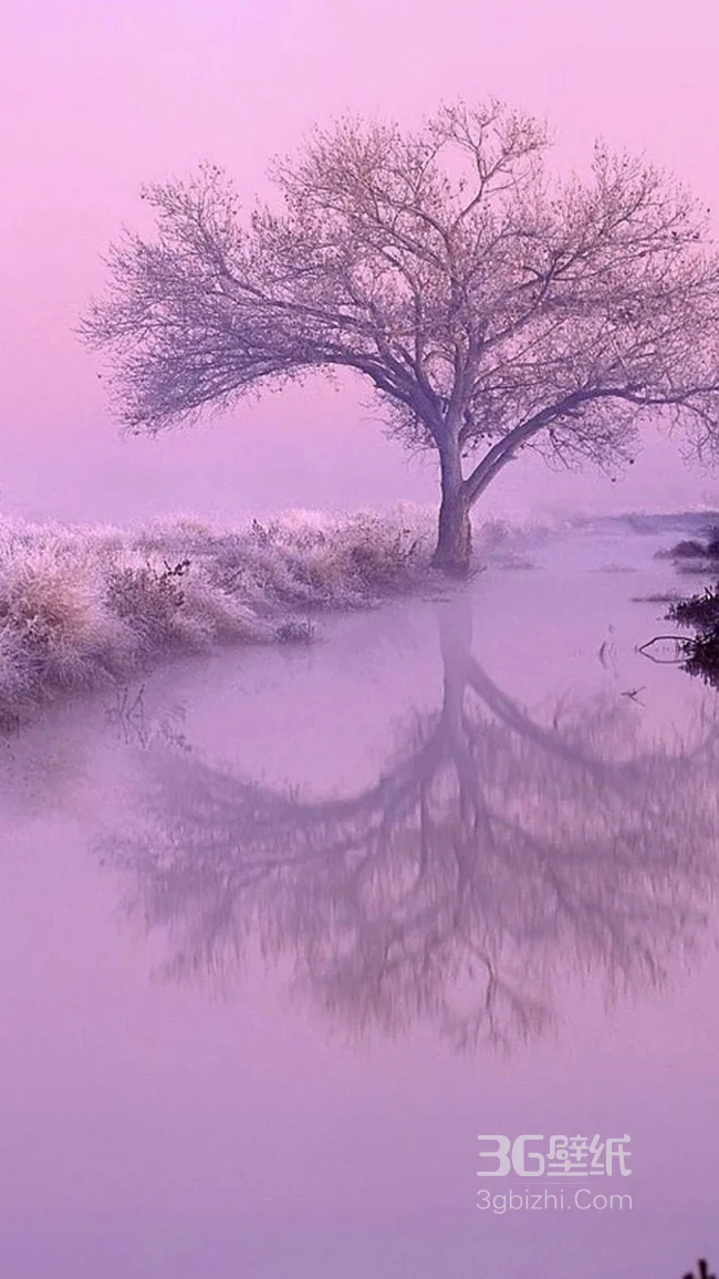 梦幻一样的风景手机图片1