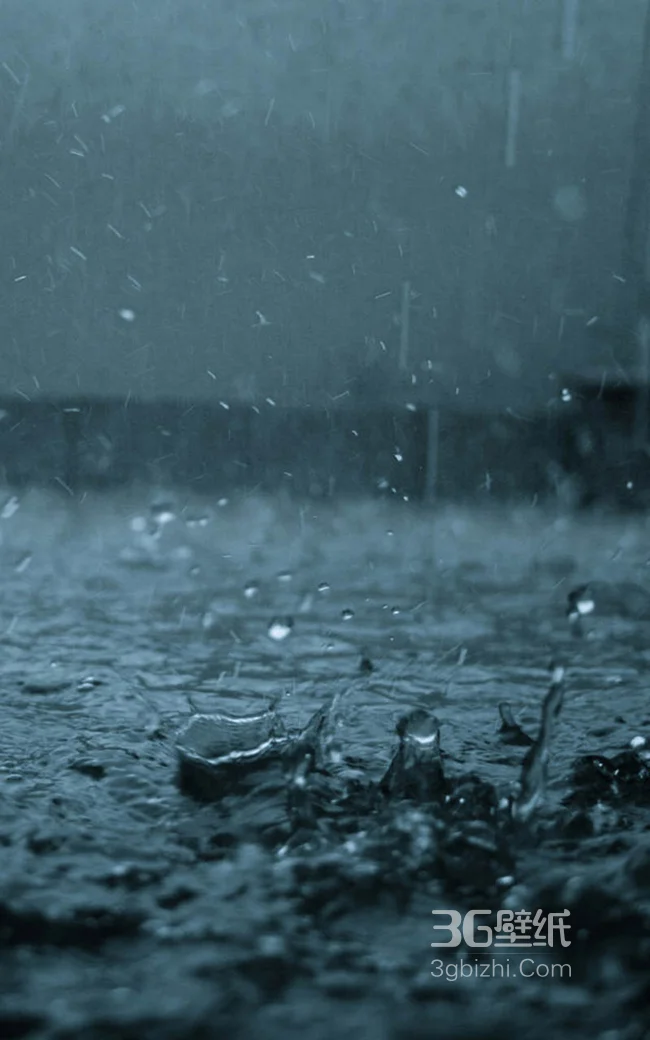 大雨滴在地上的特写手机壁纸1