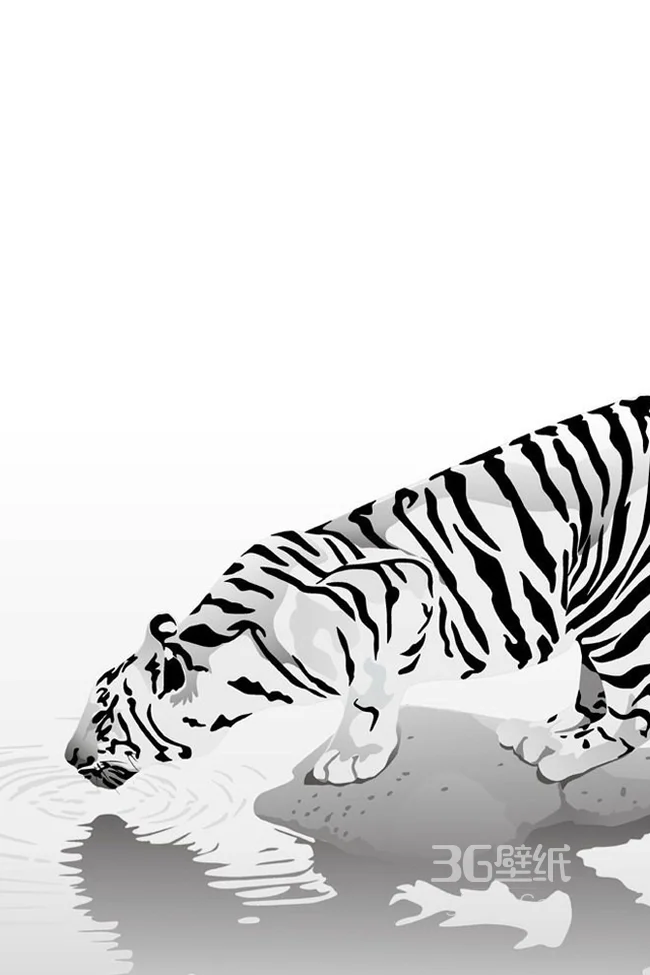 手绘的白虎手机壁纸图片1