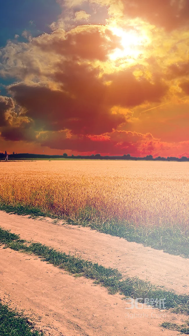 夕阳下唯美的土路手机壁纸1
