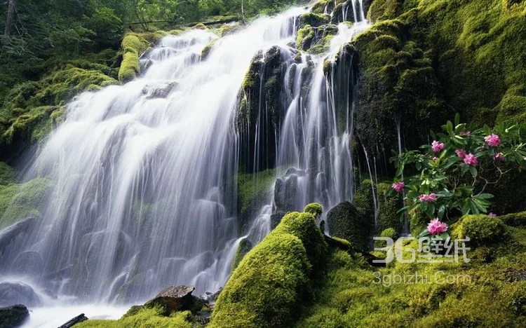 好山好水福建武夷山旅游图片2