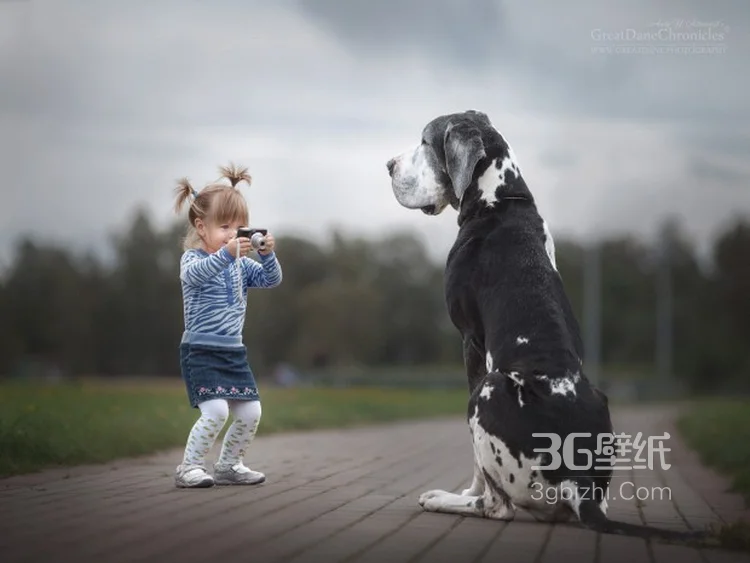 宠物与萌娃，欧美小孩与大狗狗玩耍可爱图片5
