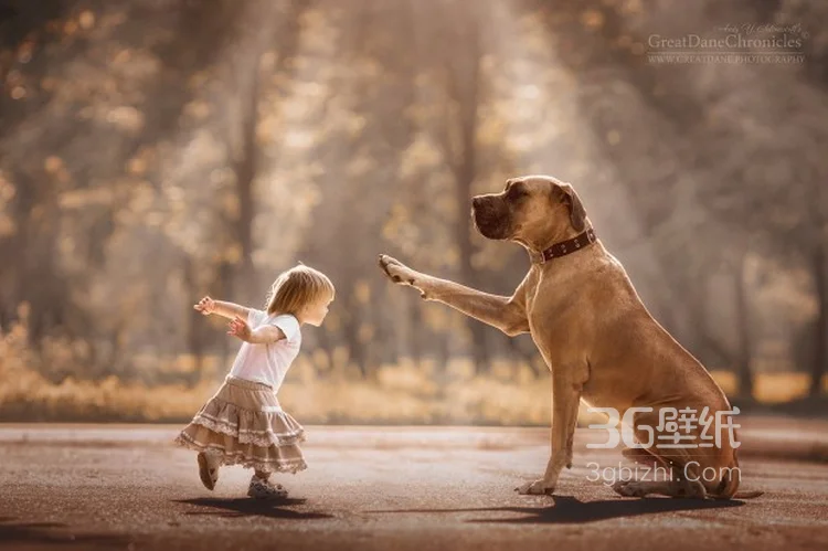 宠物与萌娃，欧美小孩与大狗狗玩耍可爱图片6