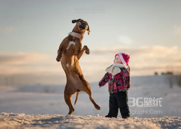 宠物与萌娃，欧美小孩与大狗狗玩耍可爱图片2