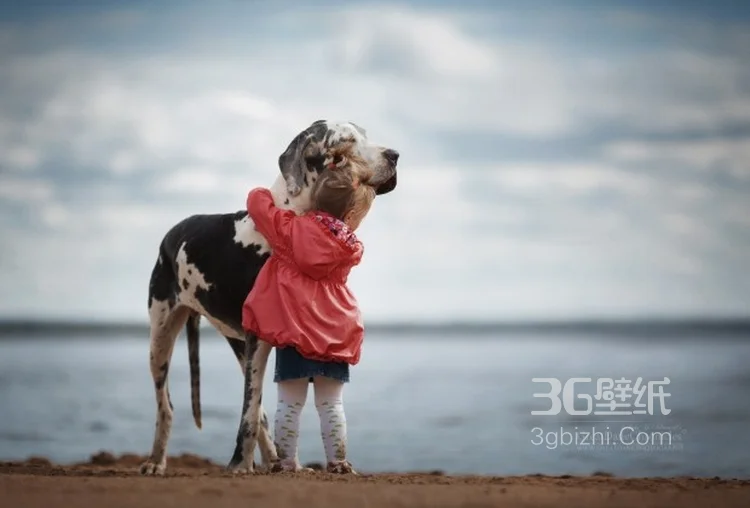 宠物与萌娃，欧美小孩与大狗狗玩耍可爱图片3