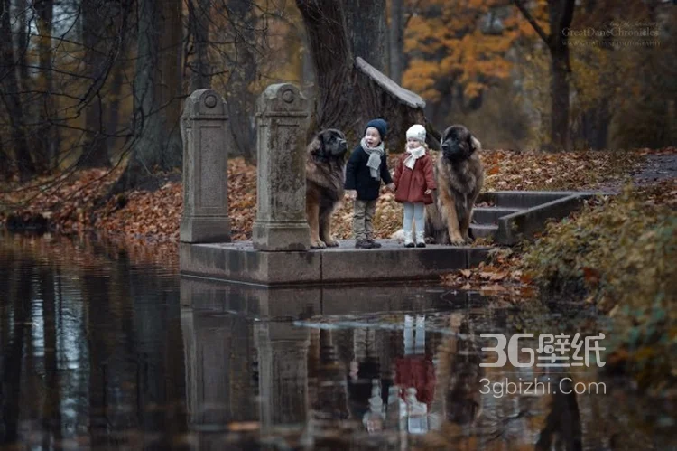 宠物与萌娃，欧美小孩与大狗狗玩耍可爱图片4