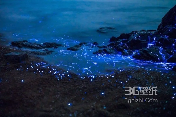 会发光的海，夜晚的马尔代夫荧光海滩唯美好看图片2