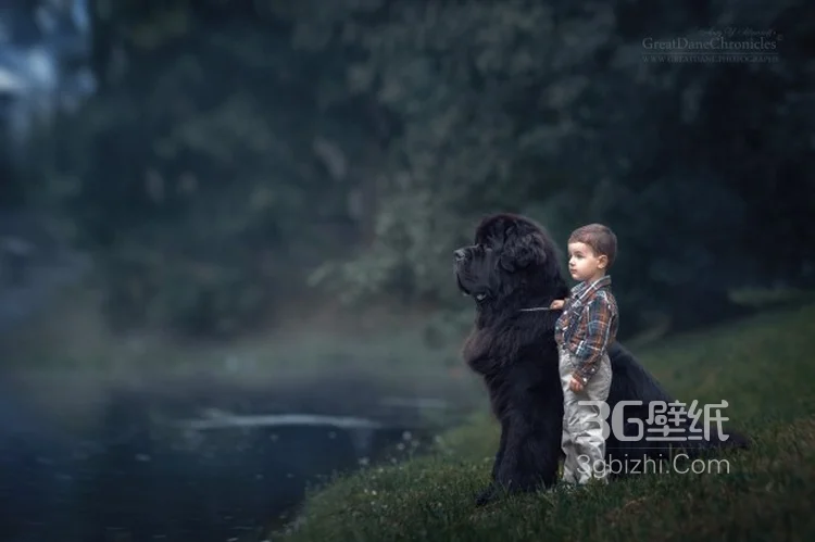 宠物与萌娃，欧美小孩与大狗狗玩耍可爱图片7