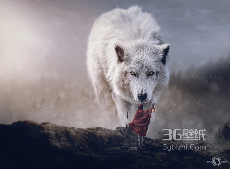 各类很有创意的狼的图片合集5