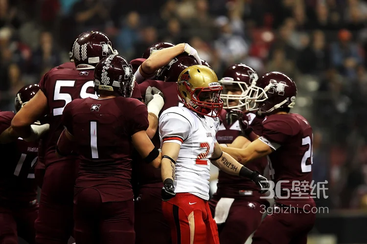 属于男人的游戏-激情四射的橄榄球赛场8