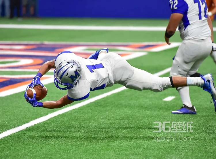 属于男人的游戏-激情四射的橄榄球赛场2