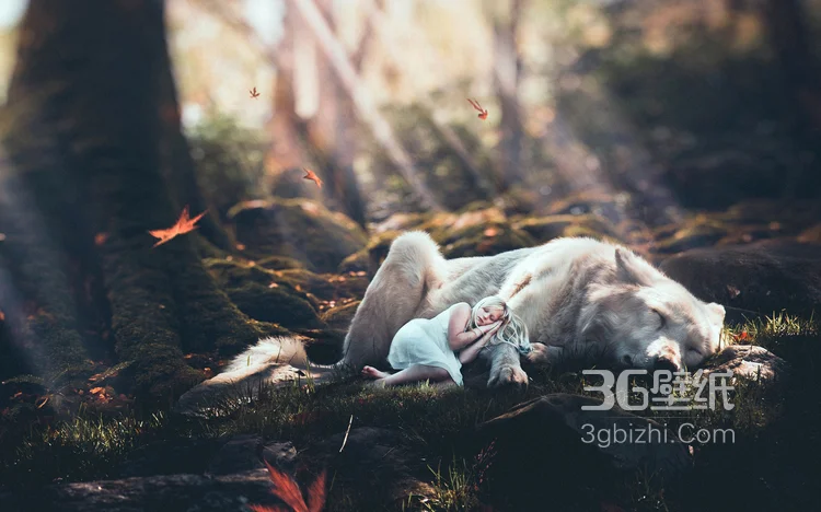 各类很有创意的狼的图片合集6