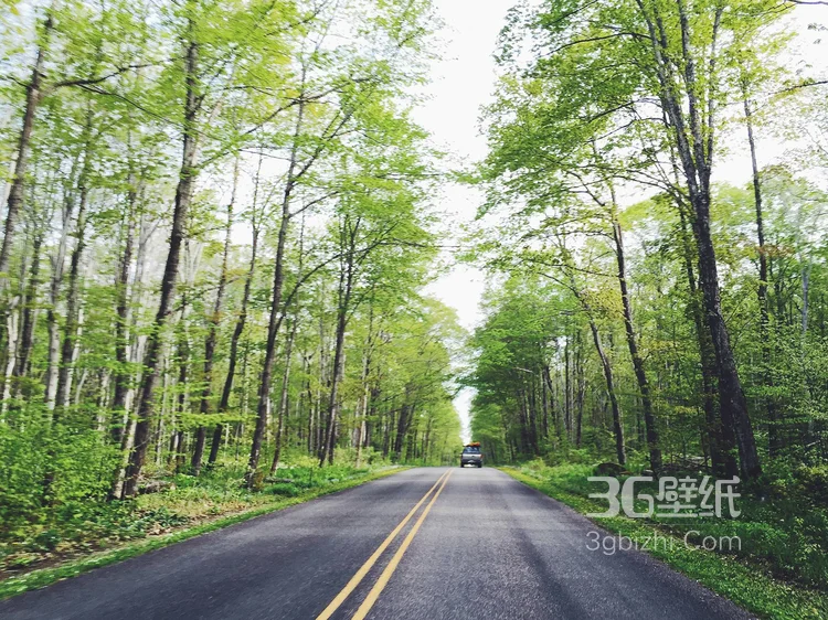 一路向北一路风景美不胜收，高清公路图片14