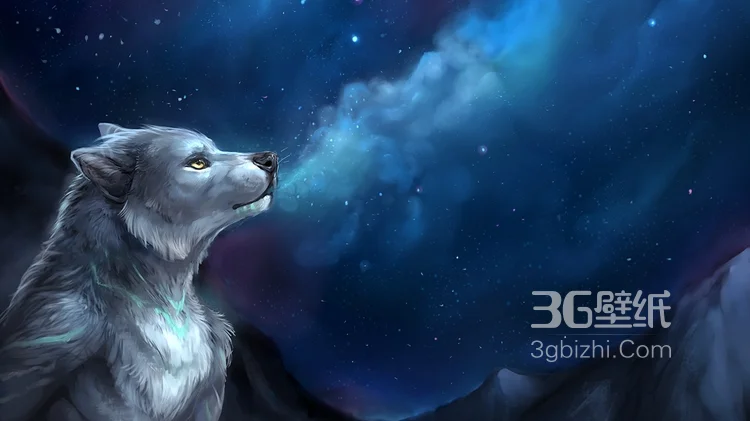 来自森林的霸主“狼”高清图片10