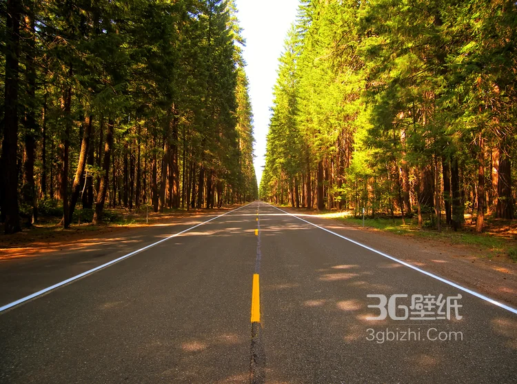 一路向北一路风景美不胜收，高清公路图片6