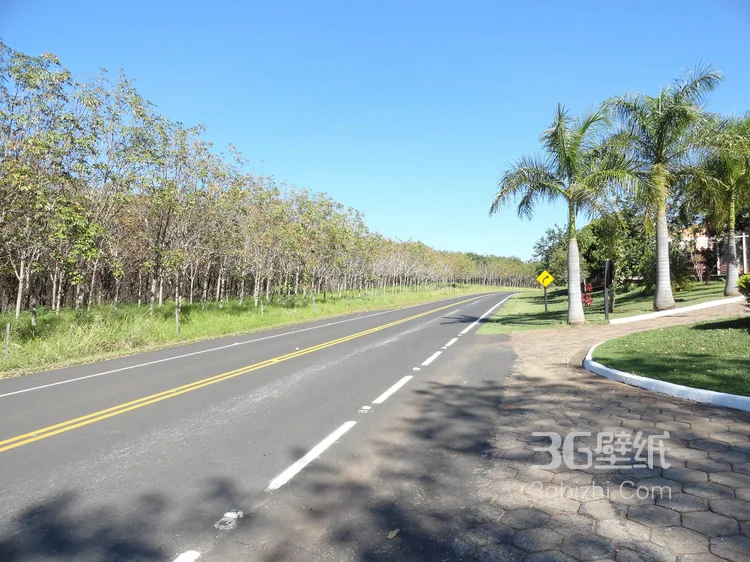 一路向北一路风景美不胜收，高清公路图片15