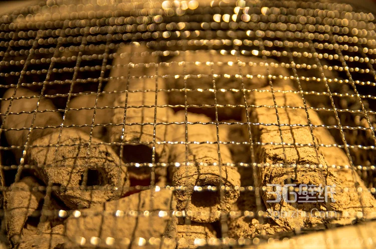 深夜放毒-高清烧烤美食图片3