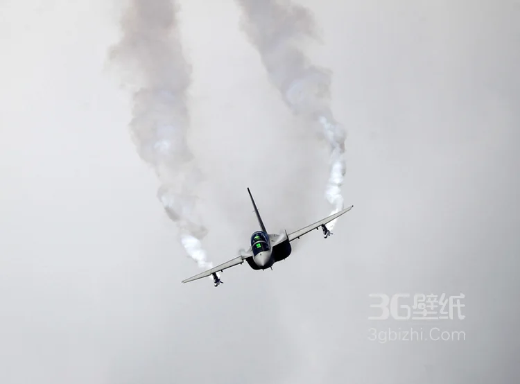 来自意大利的M346高教机航展表演图片14