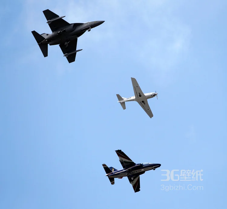 来自意大利的M346高教机航展表演图片2