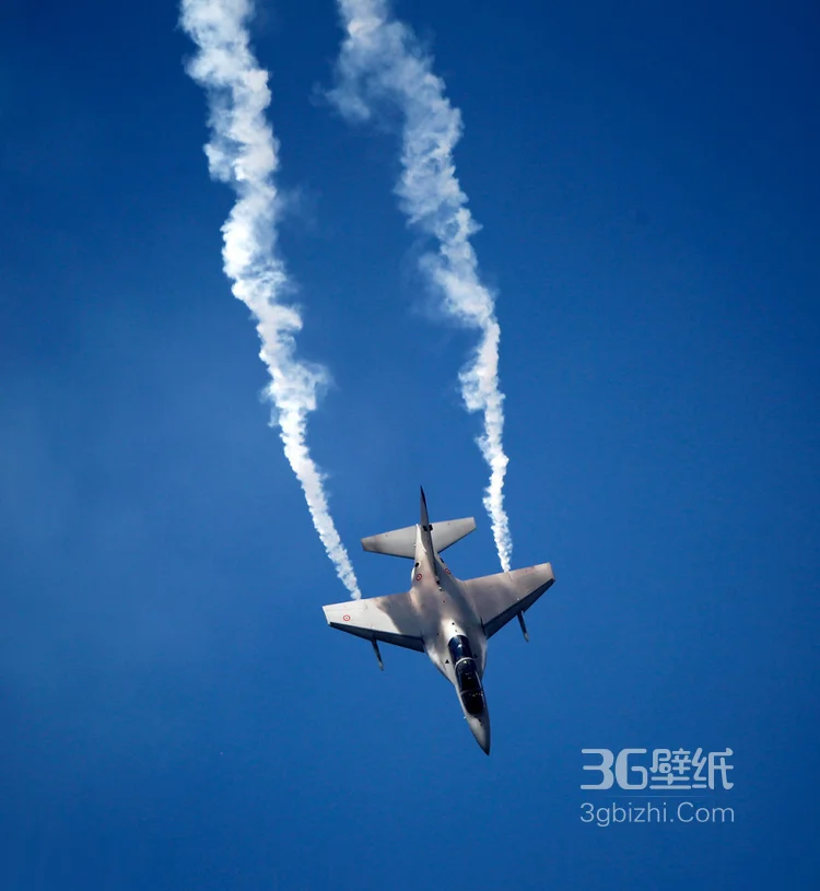 来自意大利的M346高教机航展表演图片13