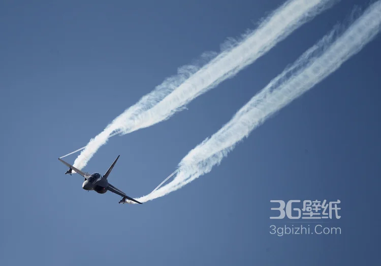 来自意大利的M346高教机航展表演图片6