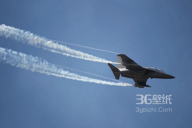 来自意大利的M346高教机航展表演图片11