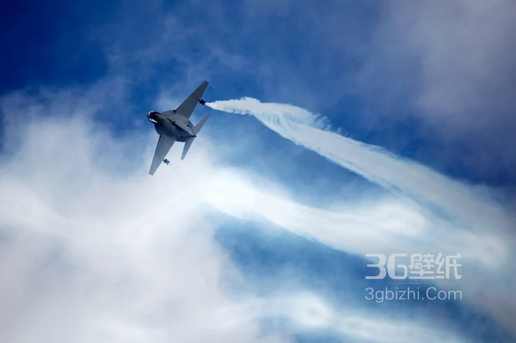 来自意大利的M346高教机航展表演图片9