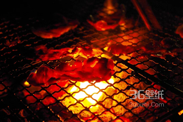 深夜放毒-高清烧烤美食图片4