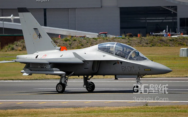 来自意大利的M346高教机航展表演图片15