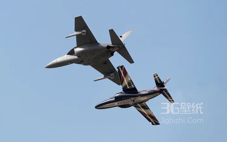 来自意大利的M346高教机航展表演图片3