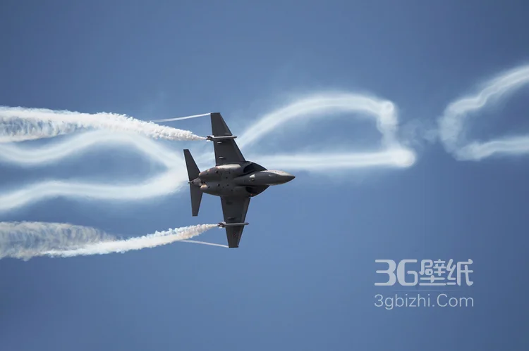 来自意大利的M346高教机航展表演图片10