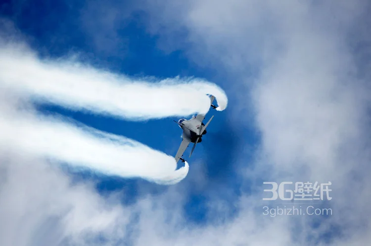 来自意大利的M346高教机航展表演图片8