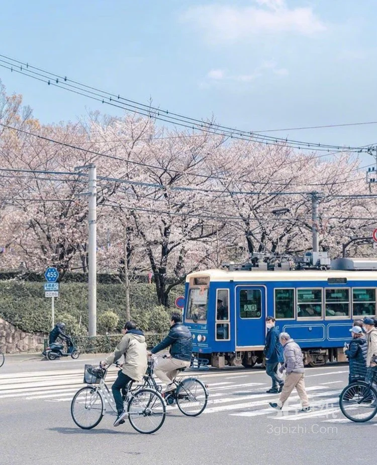 海边小清新小镇的有轨电缆车5