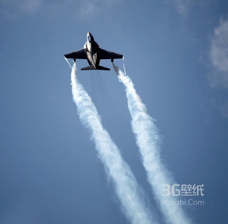 来自意大利的M346高教机航展表演图片5