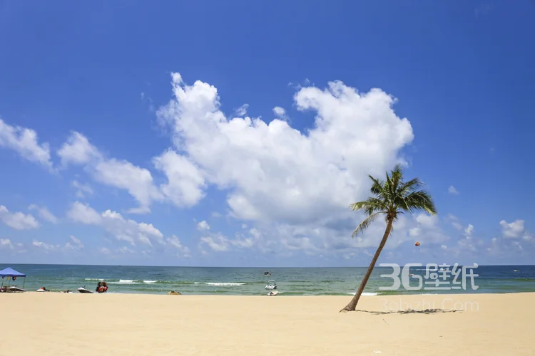 广东广州的南沙大角山海滨公园风景图片1