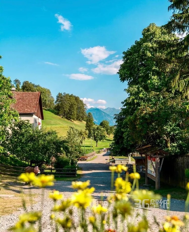 瑞士山水，瑞士旅游风景图片，太美了！7
