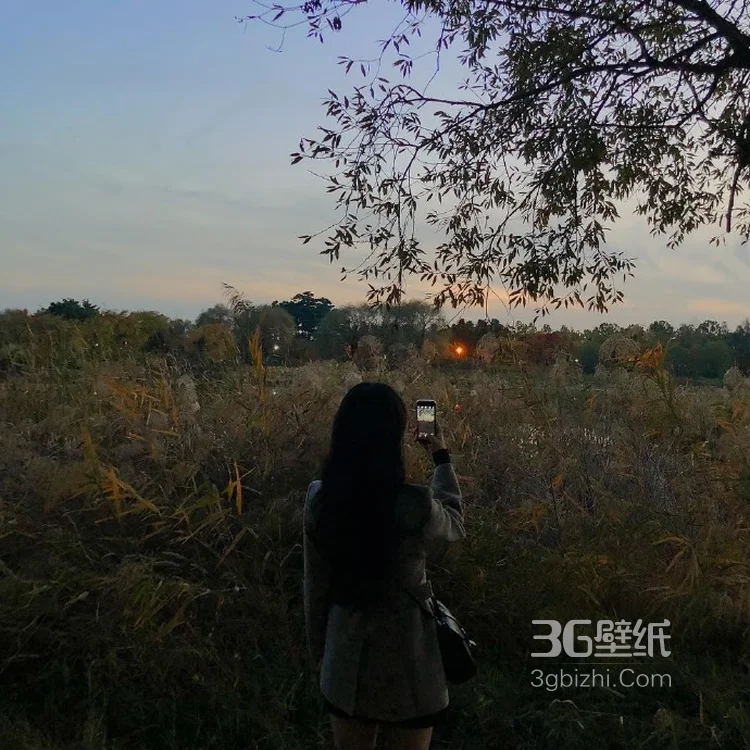 海边旅拍新姿势不拍脸只秀背的拍照姿势图片大全7