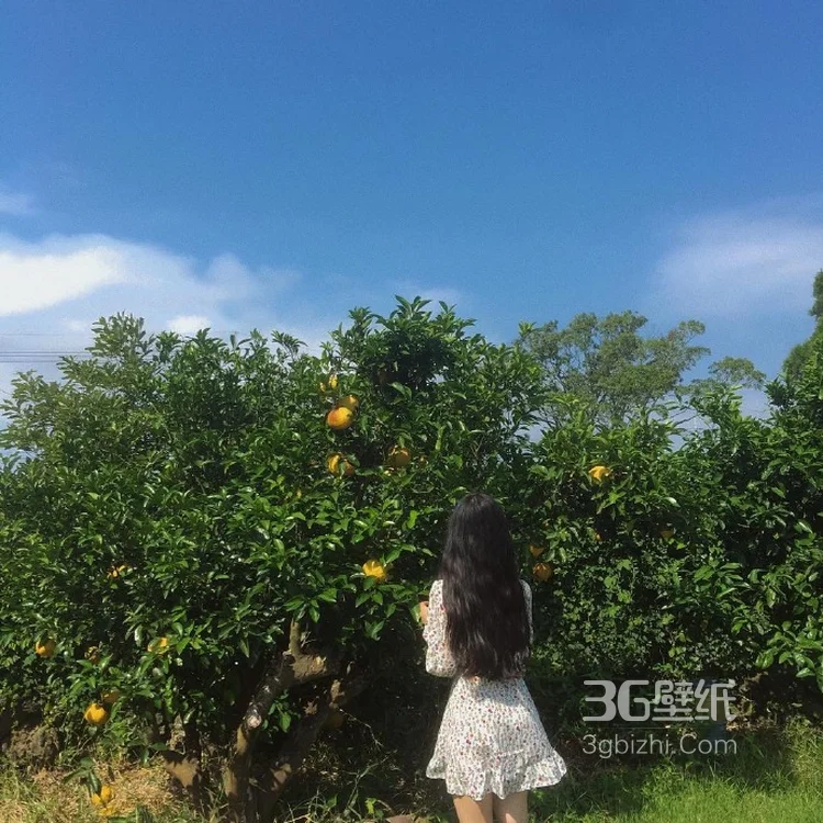 海边旅拍新姿势不拍脸只秀背的拍照姿势图片大全6