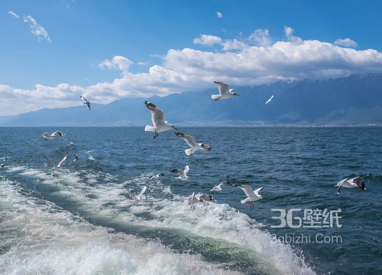 拍摄于云南大理洱海的各个景点风景图片4