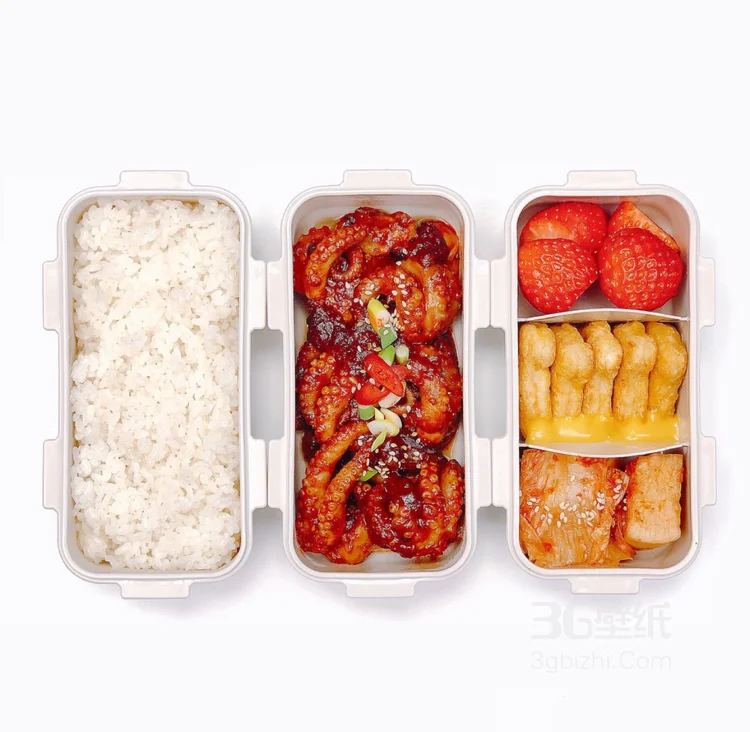 既是便当也不可马虎，使人食欲大增的便当图片4