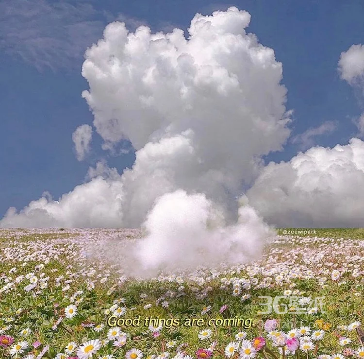 七色云彩，彩虹，花开遍野的草地唯美风景图片3