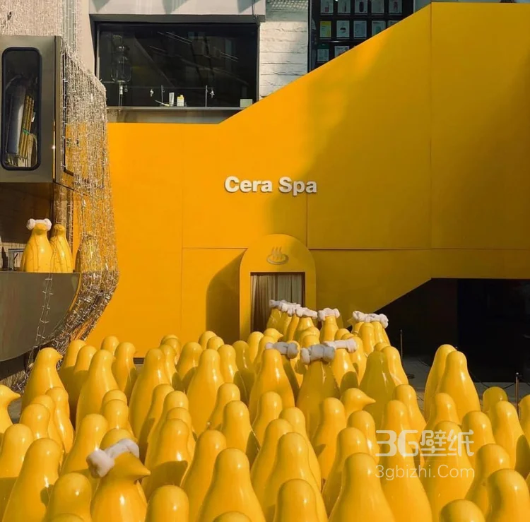 柠檬，蛋挞，蛋糕，薯条的黄色调美食图片5