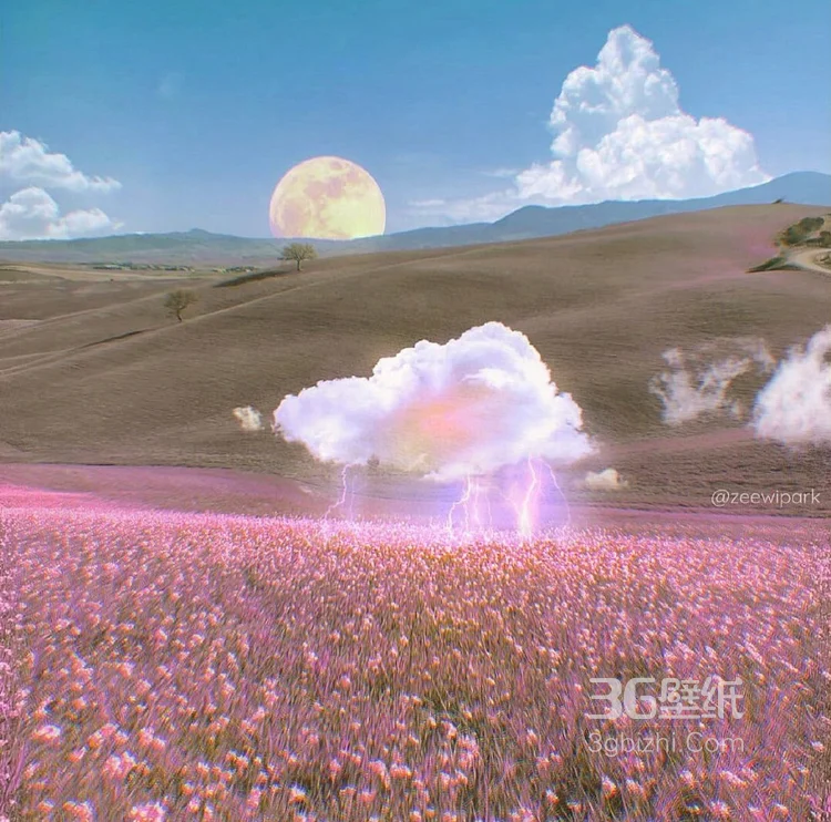 七色云彩，彩虹，花开遍野的草地唯美风景图片9