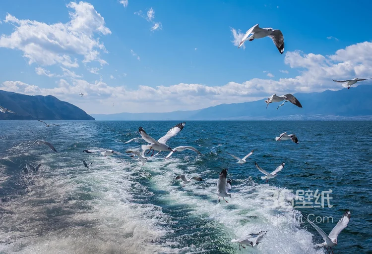 拍摄于云南大理洱海的各个景点风景图片5
