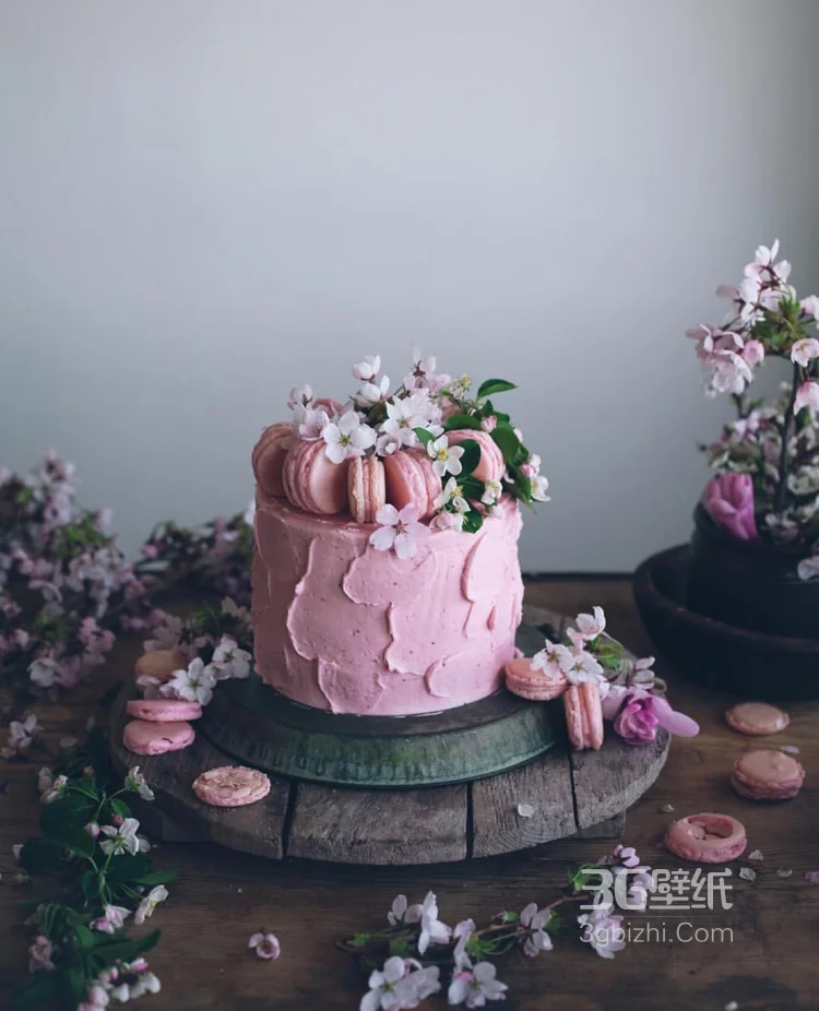 美味的巧克力蛋糕美食唯美摄影图片3