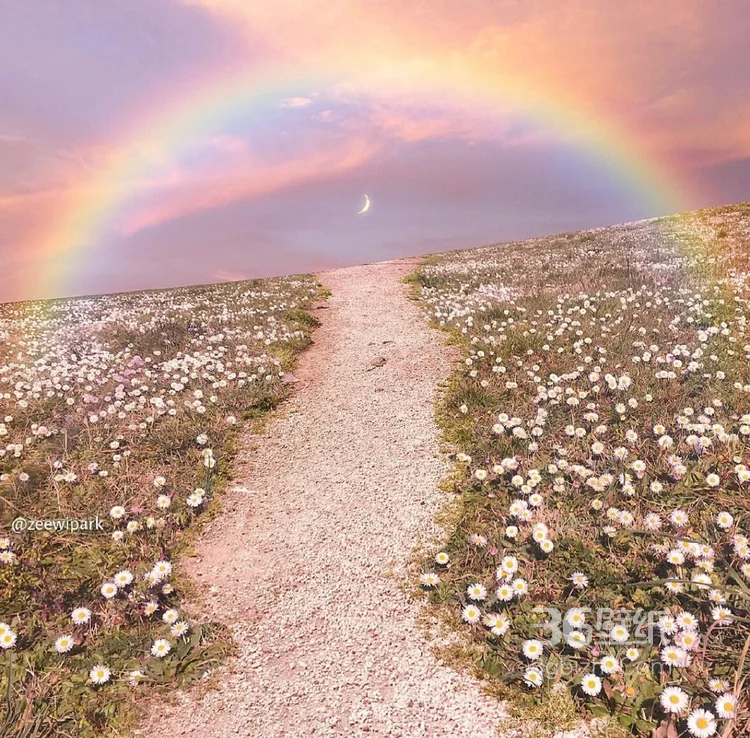七色云彩，彩虹，花开遍野的草地唯美风景图片7