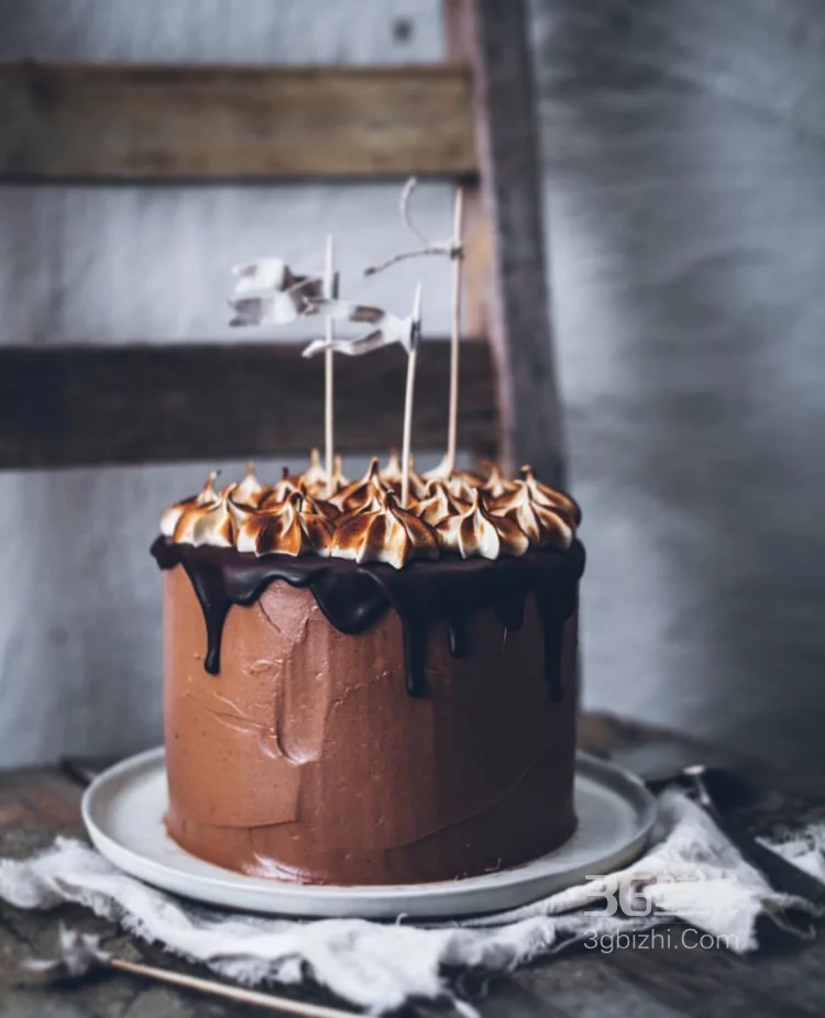 美味的巧克力蛋糕美食唯美摄影图片4