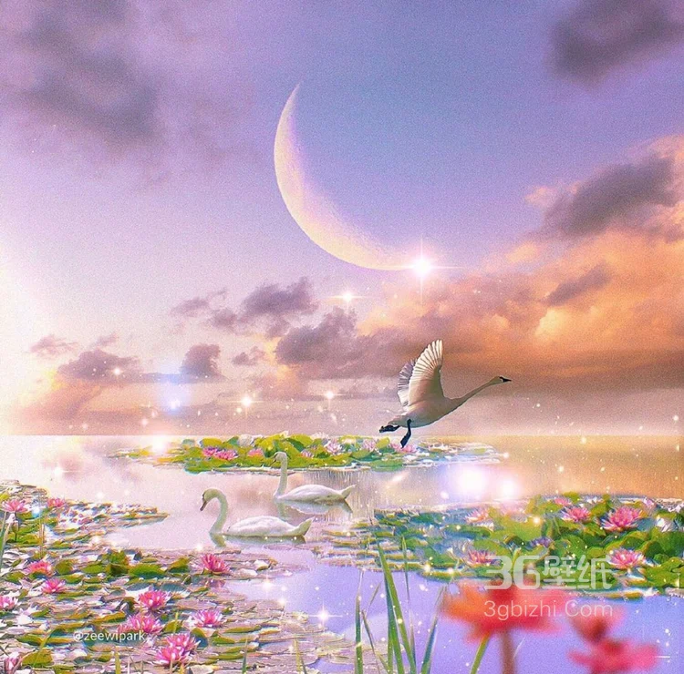 七色云彩，彩虹，花开遍野的草地唯美风景图片6