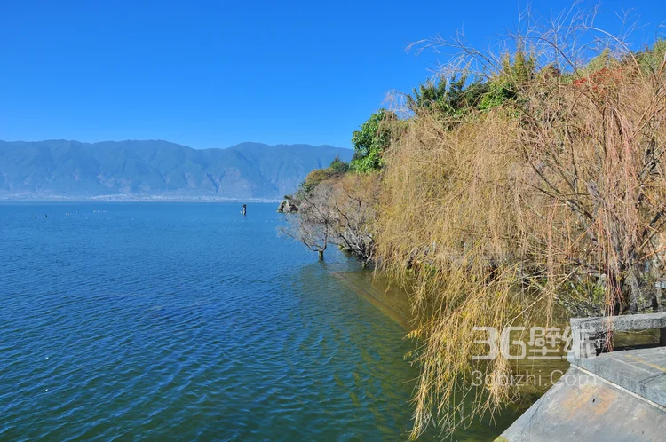 国内热门旅游地大理“洱海”高清图片7